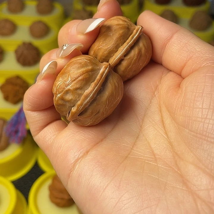 文玩核桃吊坠海豚头