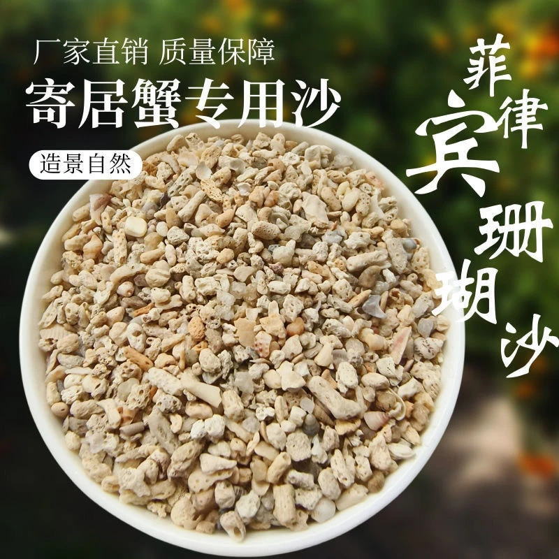 寄居蟹专用沙天然垫材珊瑚沙菲律宾沙造景原生带壳砂三湖混合底砂