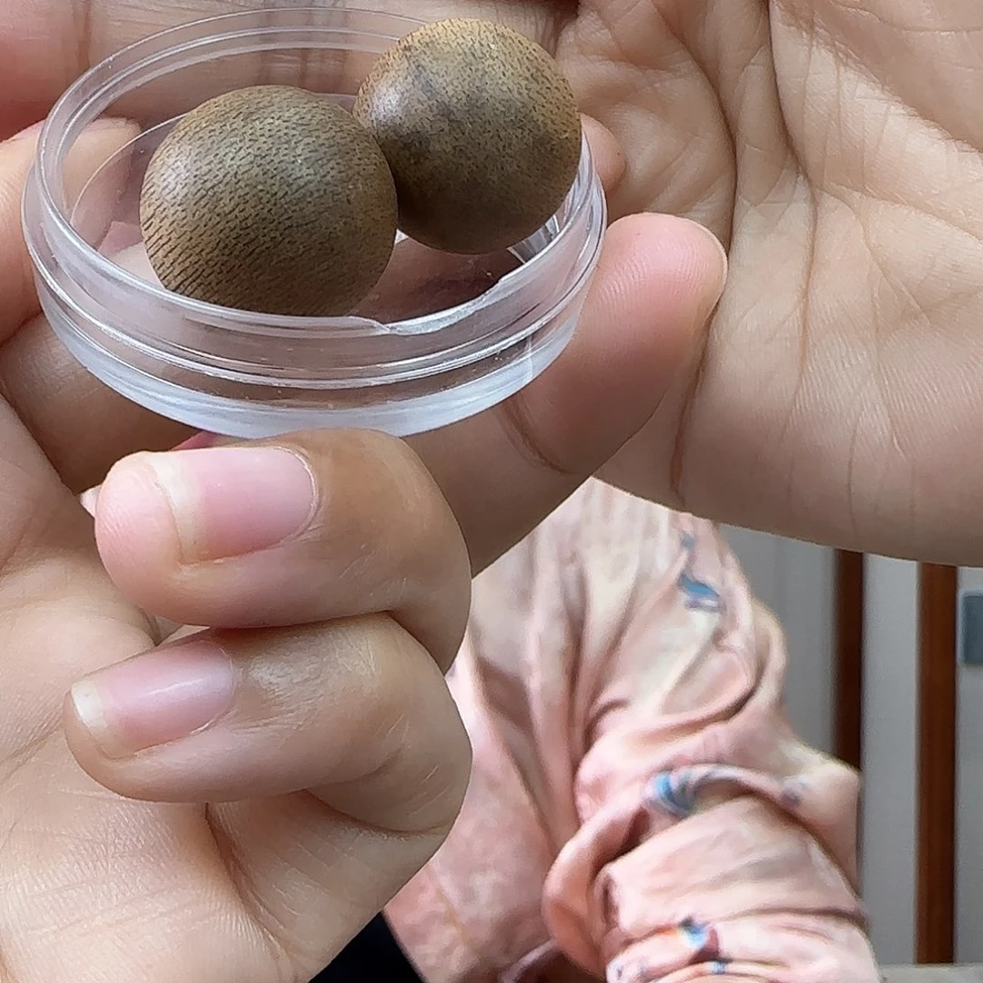 沉香吊坠J**y虫漏黄油格吊坠1.9散珠