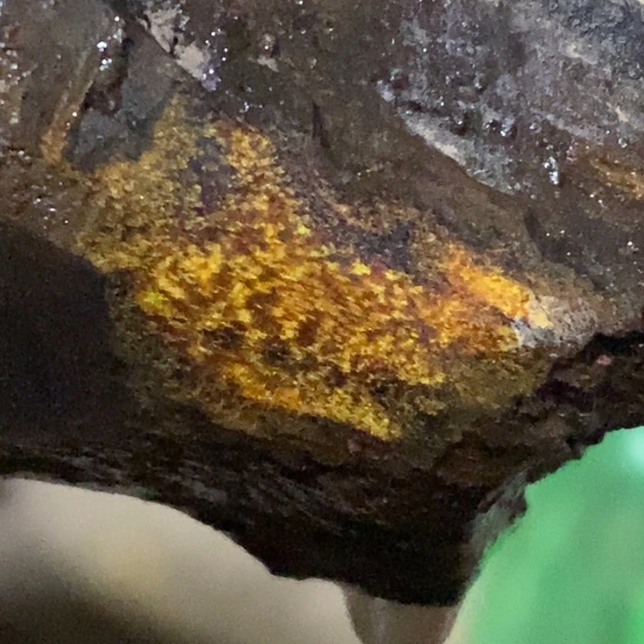 把件贡木暖*宝定制不退不换