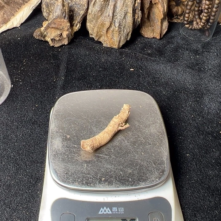 默***语楠木惠州黄奇楠树根 2.5 克