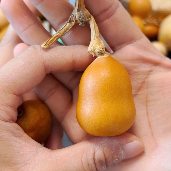 ?*88888888899988888888