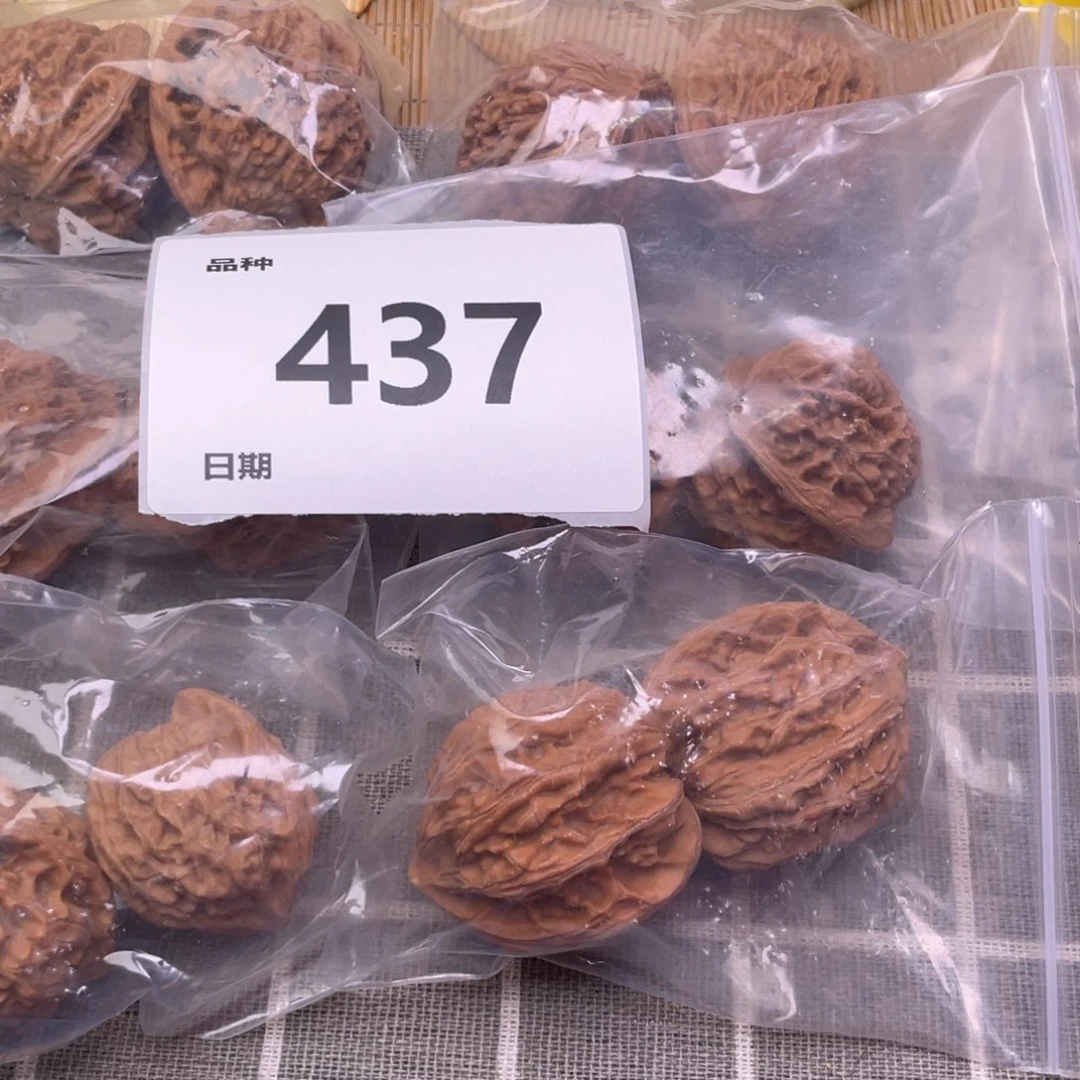 把件文玩核桃437号6对