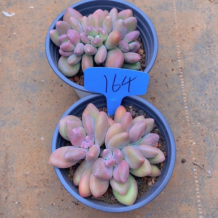 你就这样一直陪下去