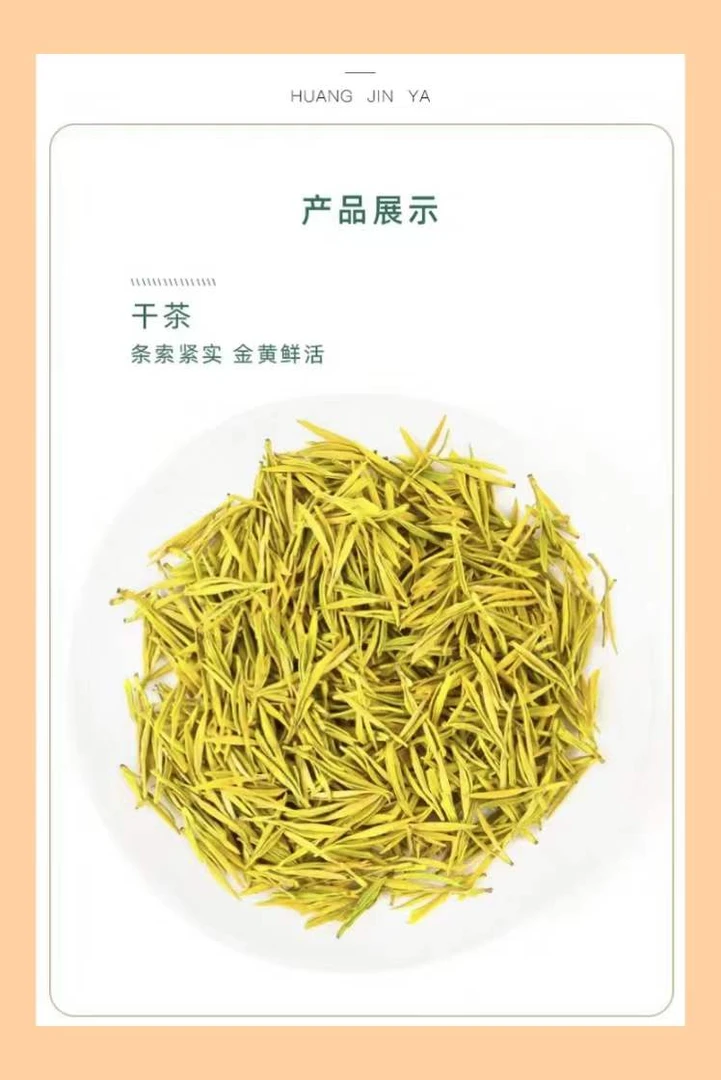 【高山头采黄金芽（助农特惠）】2025新茶 原产地 花香板栗香