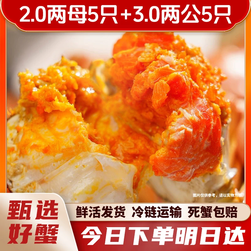 【活蟹现发】兴化大闸蟹母2.0两*5只+公3.0两*5只 礼盒装和蟹三件 京东冷链保鲜保活