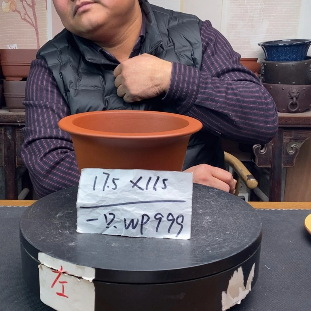 紫砂货号一只WP999