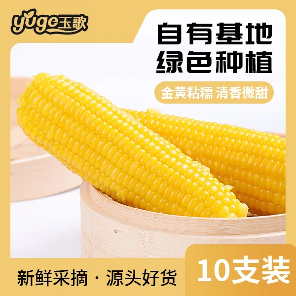 玉歌忻州真空金黄甜糯香糯玉米单根低脂220g10根新鲜非转基因新鲜
