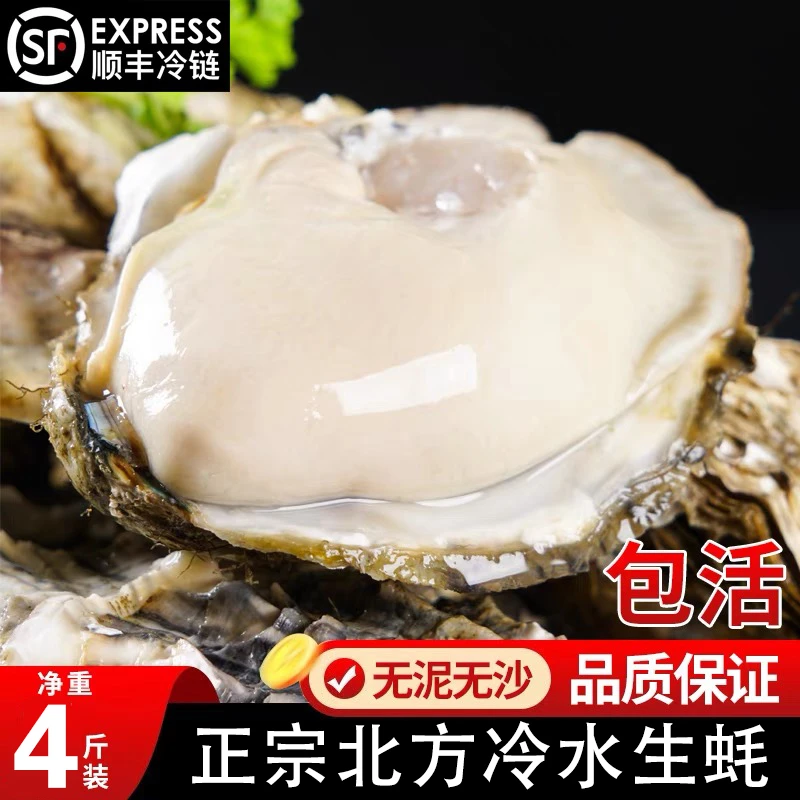 【顺丰包邮】 鲜活北方冷水生蚝（4斤净重）大生蚝超高品质 个大肥美