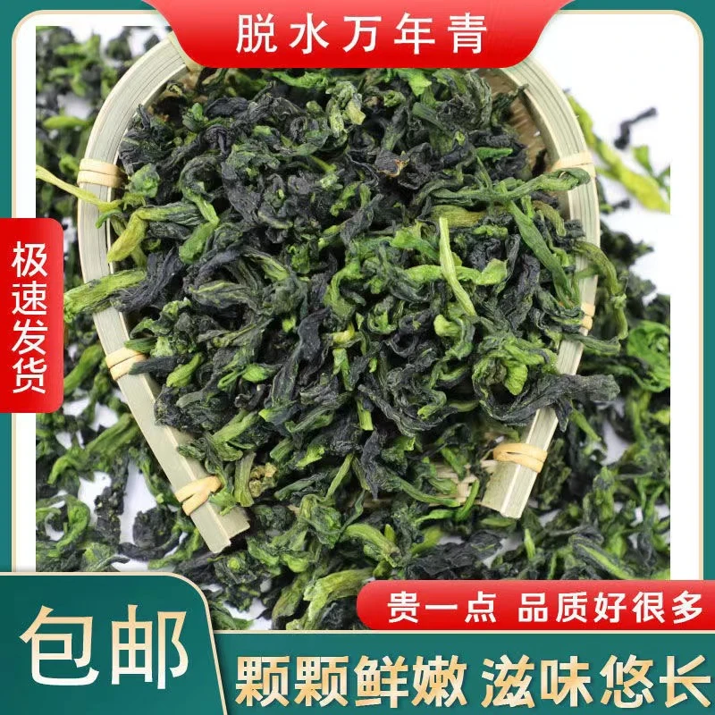 农家自然晾晒万年青