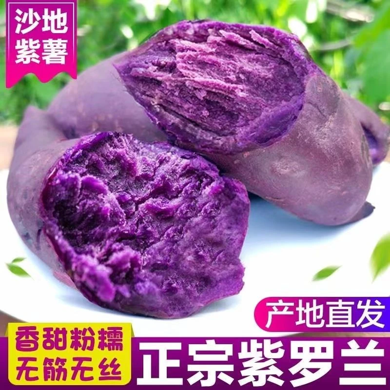 优选正宗广西紫罗兰紫薯新鲜现挖农家自种沙地板栗红薯地瓜小紫薯