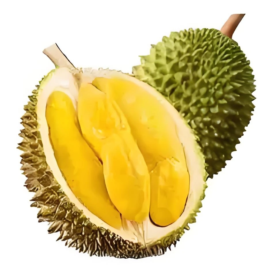 10月新果保底1.5斤纯果肉猫山王D197榴莲现剥肉