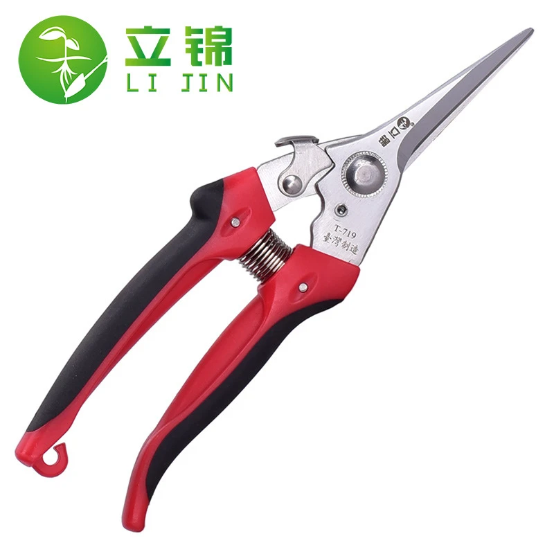 立锦SK5直头稀果剪采果剪柑橘桔子摘果剪果园果树采摘剪 T719