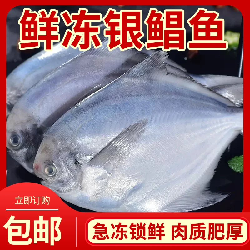 平鱼银鲳鱼5斤25条左右纯野生冷冻