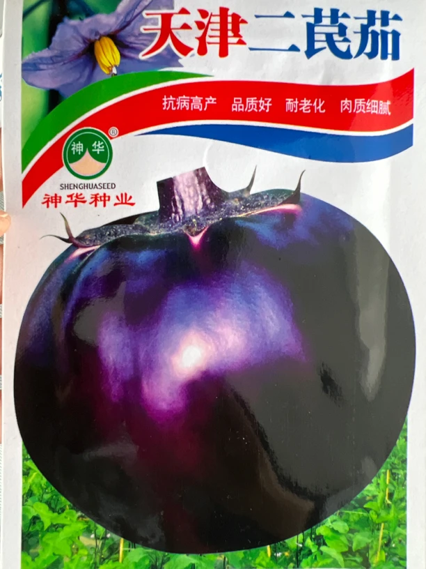 天津二苠茄茄子籽