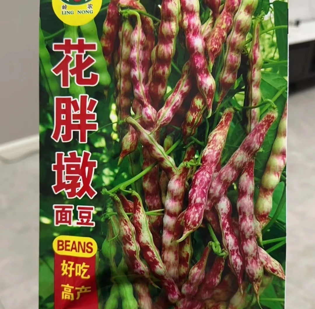 花胖墩面豆豆角种子80粒左右
