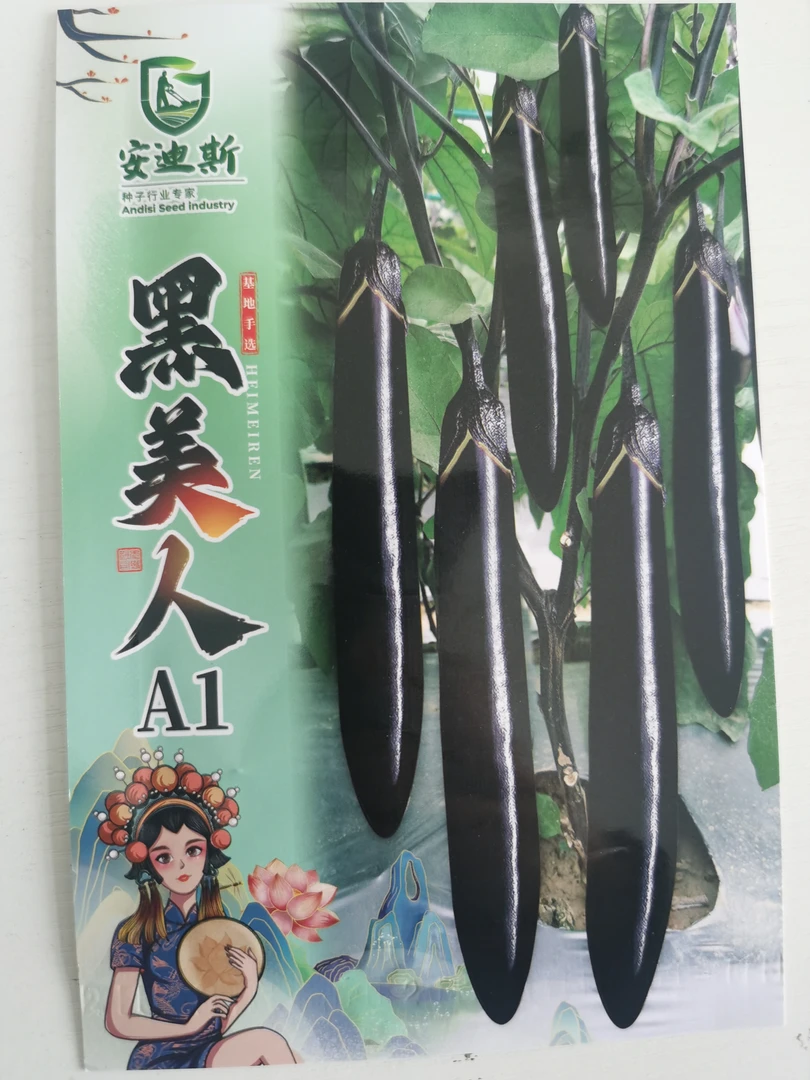奥迪斯黑美人A1茄子籽