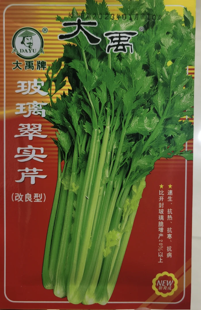 玻璃翠实芹芹菜籽