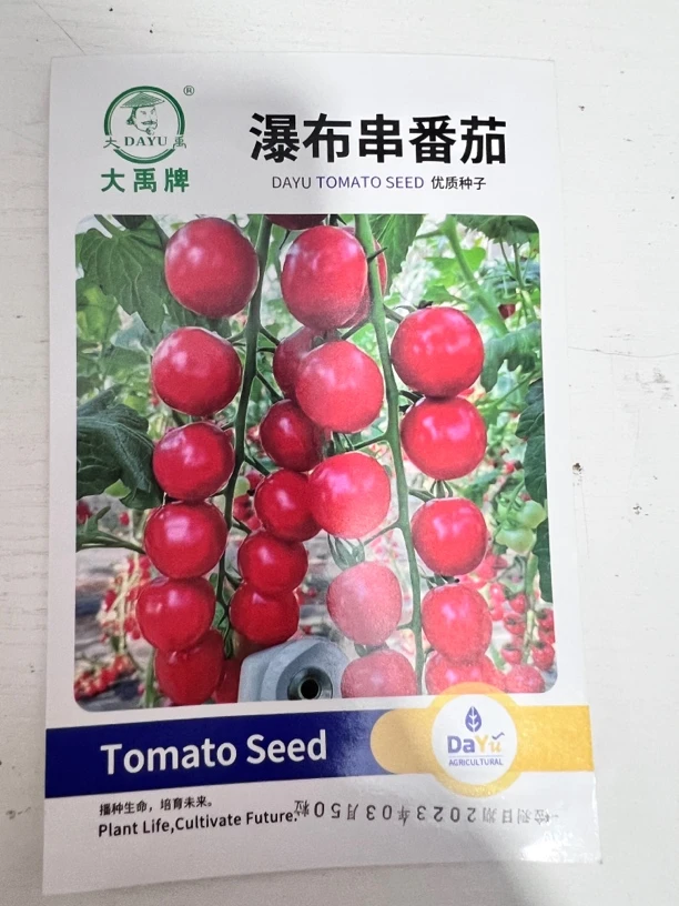 瀑布串番茄柿子种子（拍一发二）