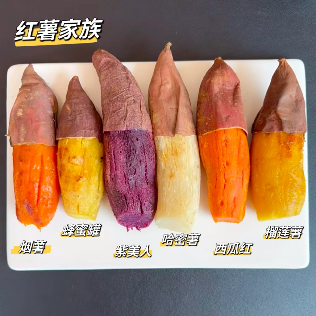 红薯家族多种番薯6拼组合 · 榴莲薯紫美人哈蜜薯烟薯蜂蜜罐西瓜红