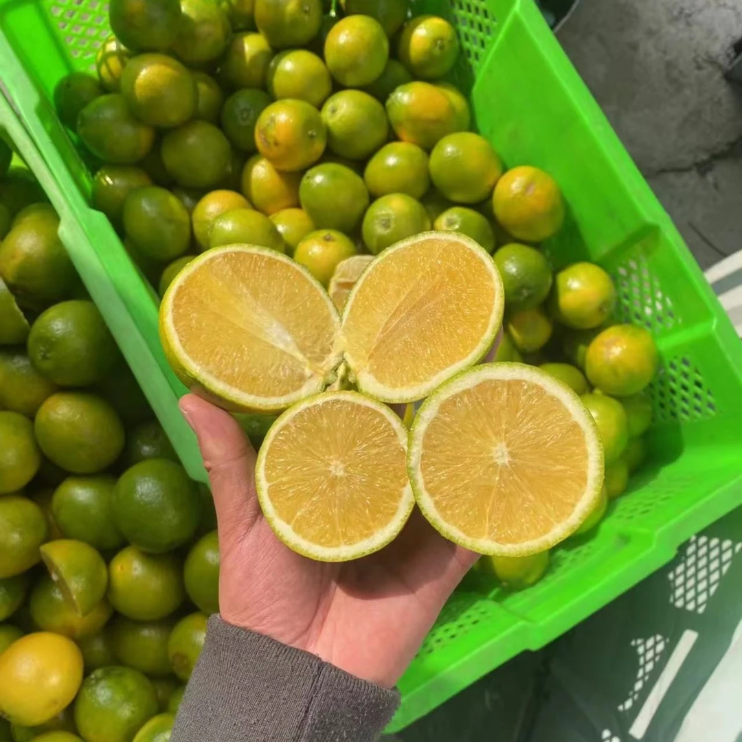 冰糖橙1公斤（包甜包水）