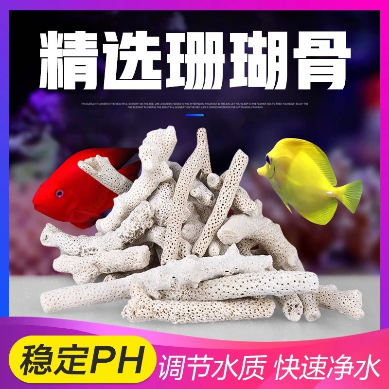 大块珊瑚骨滤材纯天然精选珊瑚石净水族锦鲤鱼缸鱼池过滤材料造景