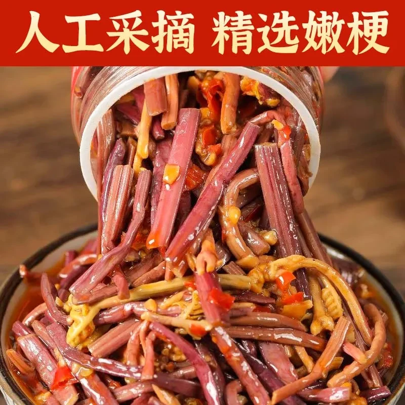 香辣蕨菜即食下饭菜爽口滑嫩湖南特产辣椒酱腌菜咸菜剁椒贡菜酱料