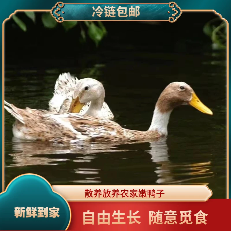 【2只麻鸭】农家散养麻鸭2只毛重7斤净重4斤整鸭发货  C