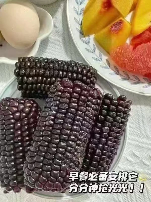 黑粘玉米10根左右一袋