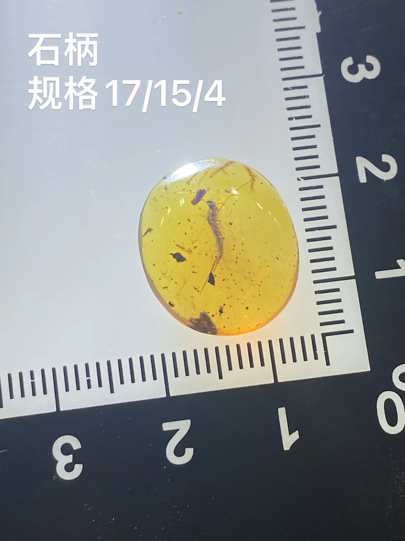 天然缅甸琥珀～虫珀标本