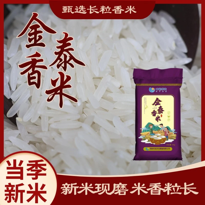 精选金泰香米10斤长粒大米厂家产地直发包邮