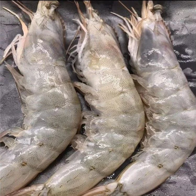 连云港发货  40/50虾，30/40虾，20/30虾盐冻食用营养