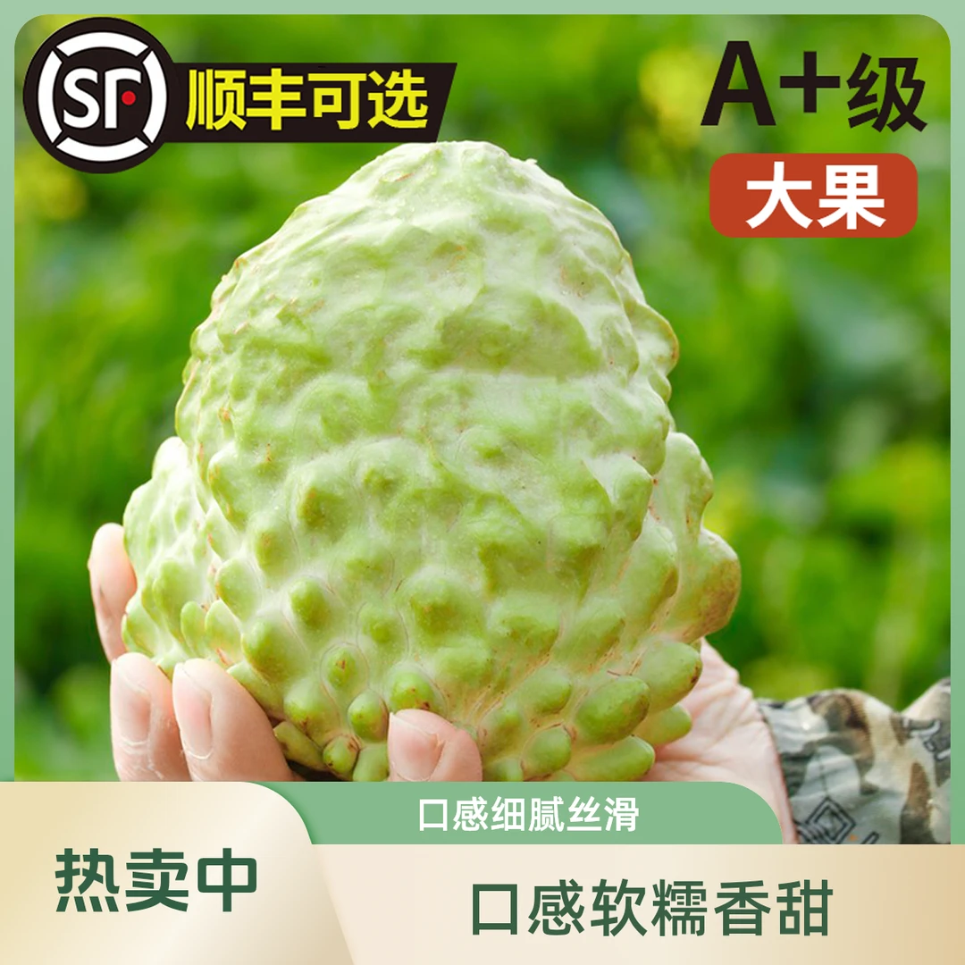 【顺丰包邮】广西释迦果高品质优质番荔枝新鲜采摘肉质软香甜多汁