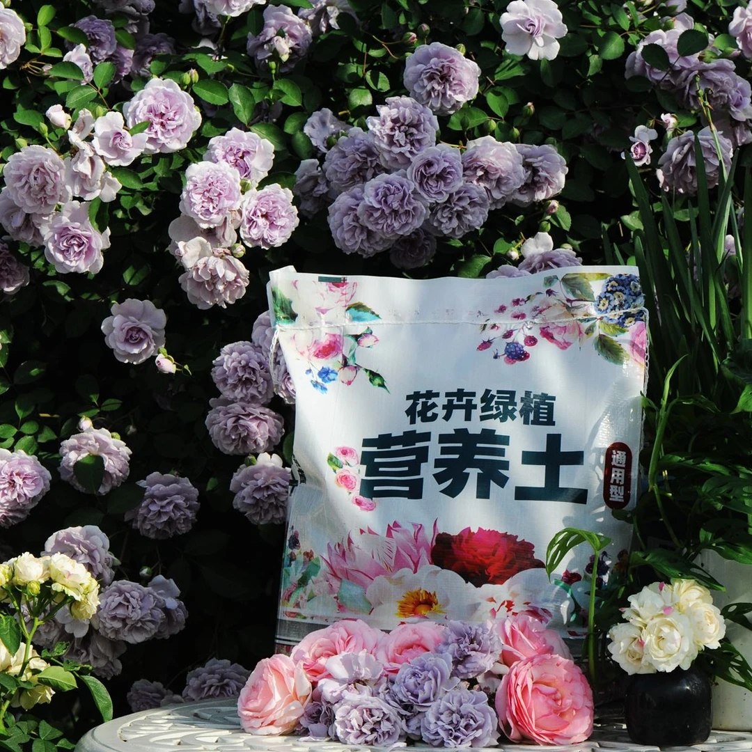 花卉绿植通用营养土营养土养花专用泥炭土