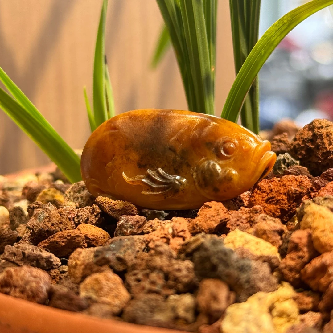 【一鸣玉雕】籽料黄沁小丑鱼独籽挂件年年有余手工雕刻新疆和田玉