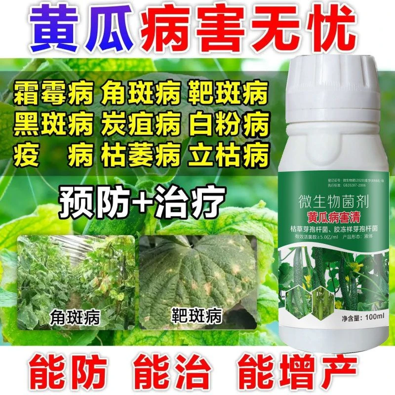 黄瓜专用药黄瓜靶斑病叶斑病霜霉病白粉病毒病黄点病杀菌快速预防