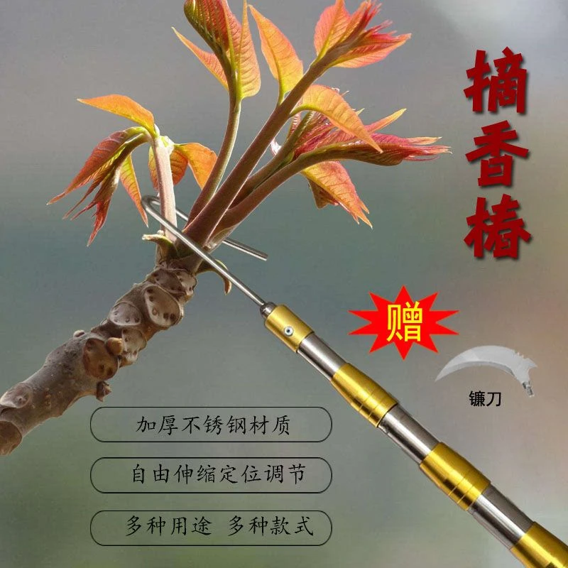 香椿钩伸缩杆摘香椿专用槐花加厚不锈钢加长杆摘香椿神器户外加固