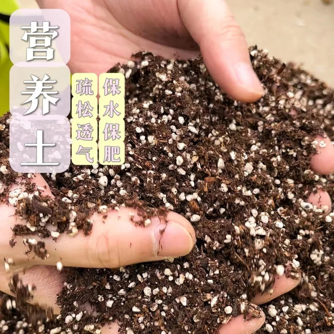 绣球月季铁线莲通用型营养土有机泥炭土苗圃专用透气基质配方土