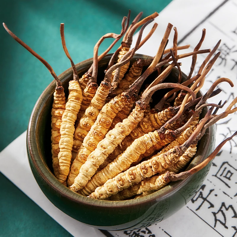 【虫草弟5166】2025新冬虫夏草10根中大草正品 体验装