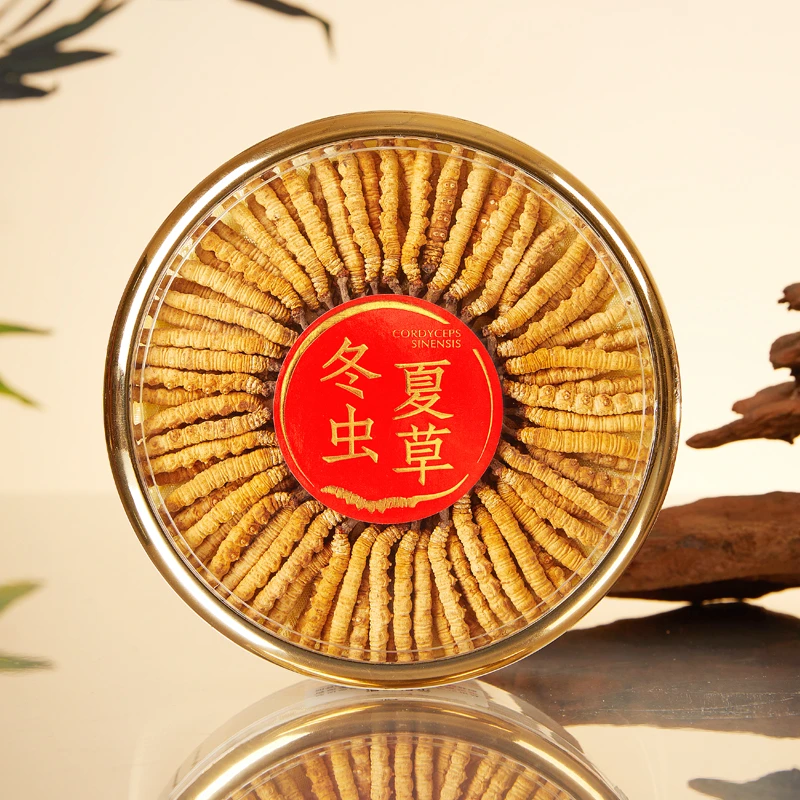 【虫草弟5236】高海拔虫草王-冬虫夏草100根 高端礼盒