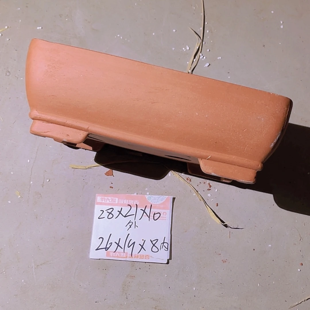 【闪购商品】紫砂20cm(含)-50cm(含)