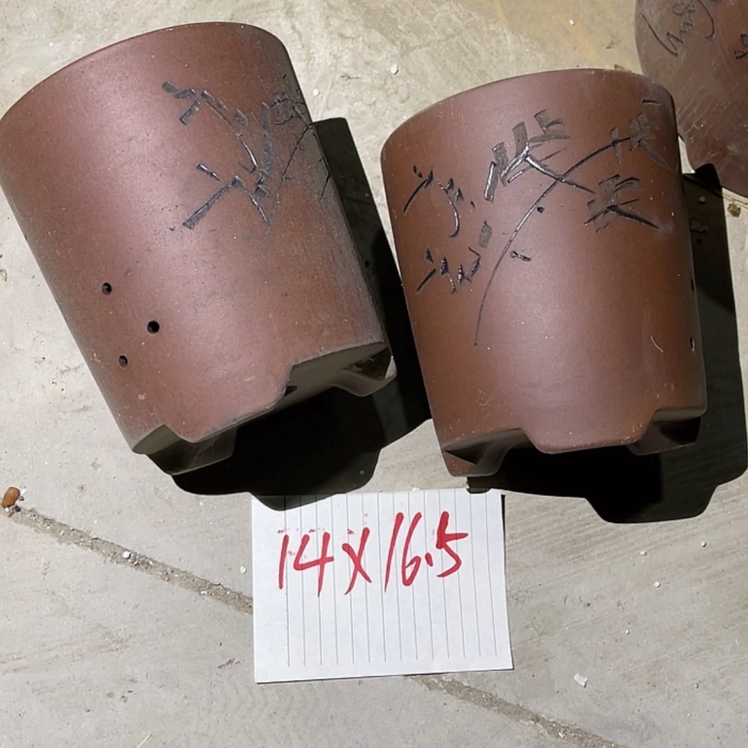 【闪购商品】紫砂20cm(含)-50cm(含)