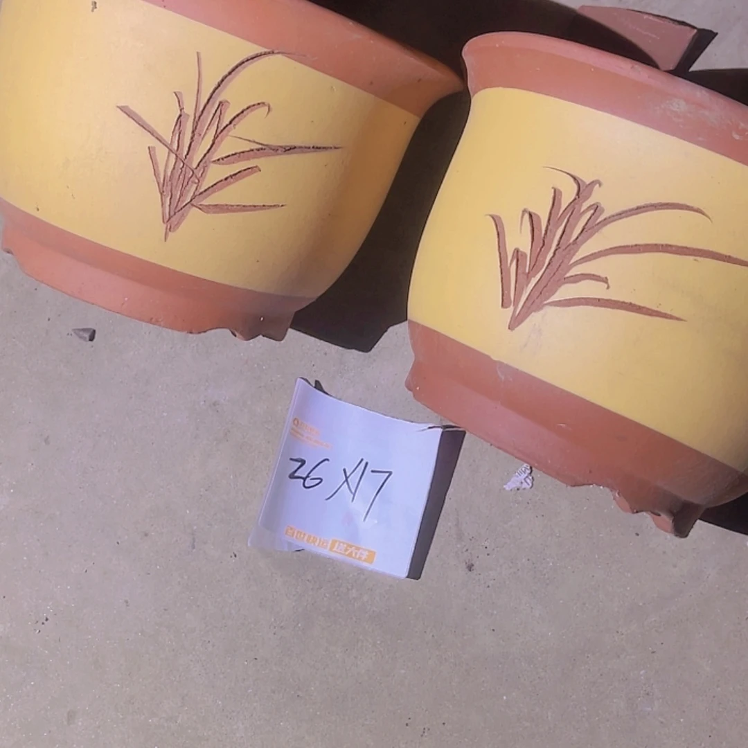 【闪购商品】紫砂20cm(含)-50cm(含)
