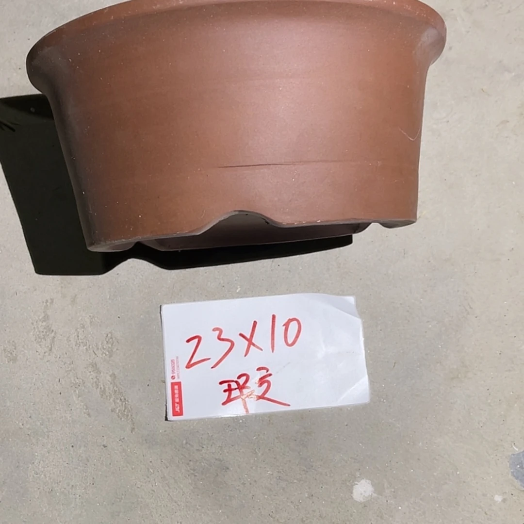 【闪购商品】紫砂20cm(含)-50cm(含)