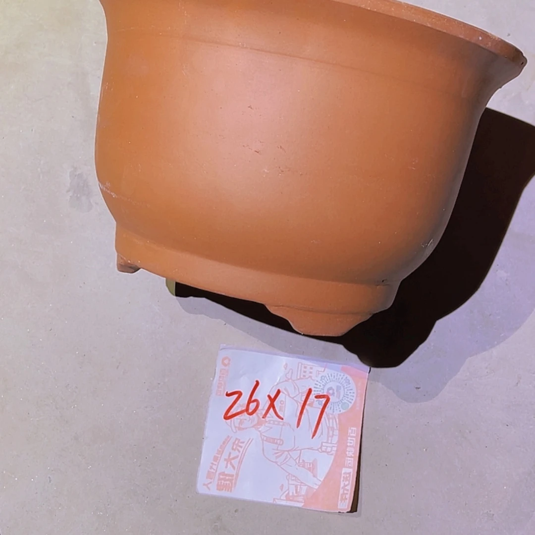 【闪购商品】紫砂20cm(含)-50cm(含)