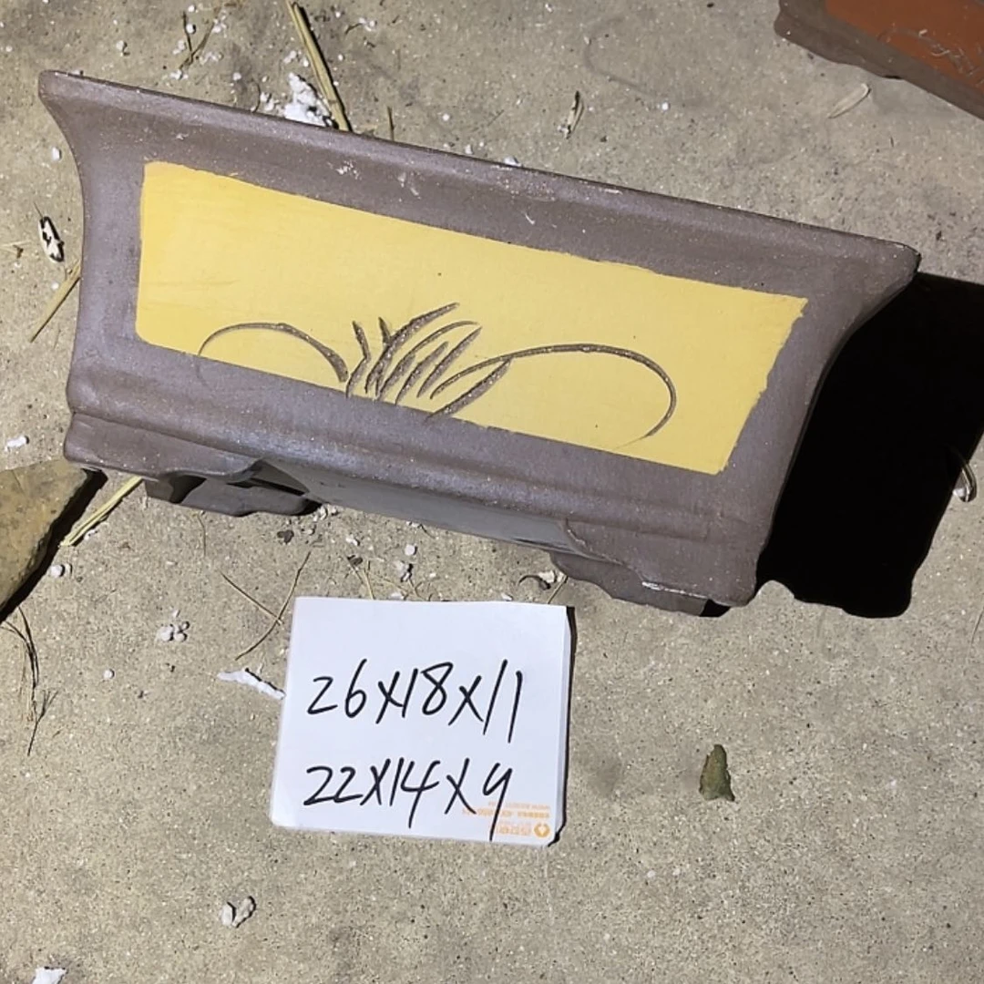【闪购商品】紫砂20cm(含)-50cm(含)
