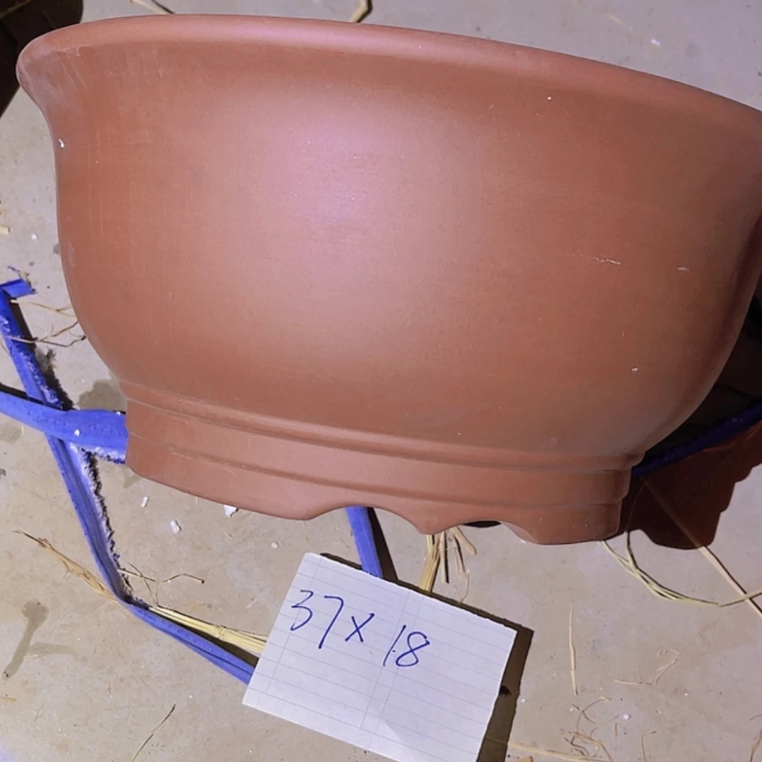 【闪购商品】紫砂20cm(含)-50cm(含)