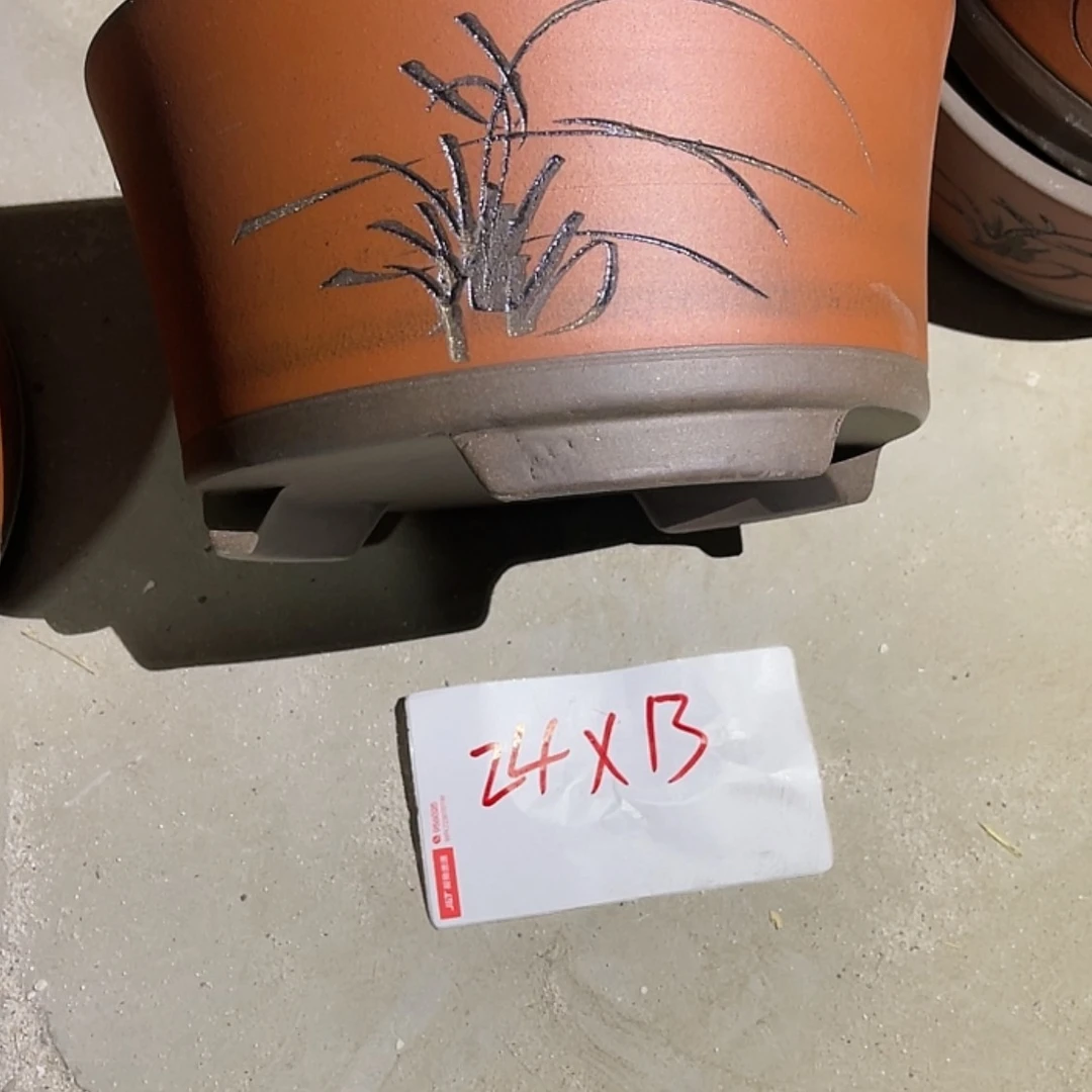 【闪购商品】紫砂20cm(含)-50cm(含)