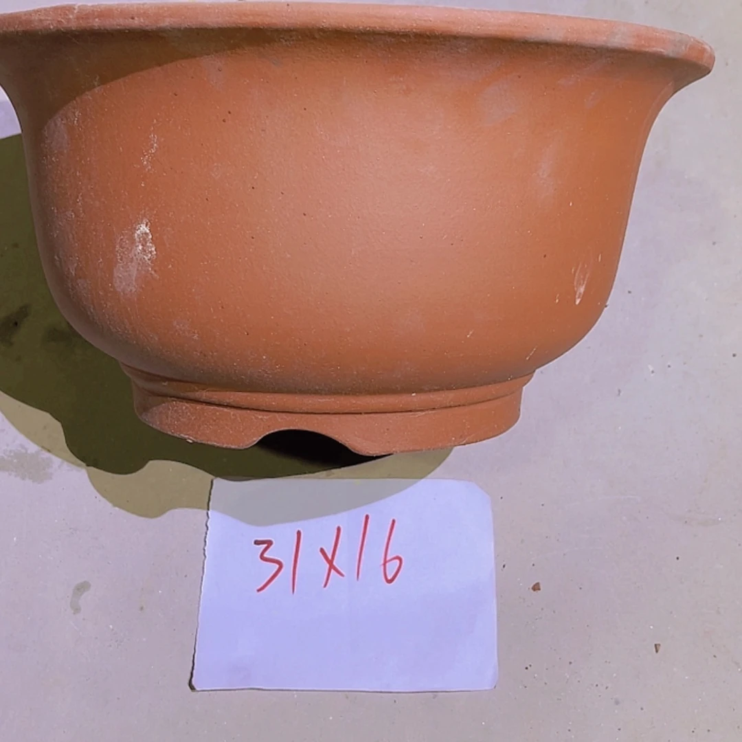 【闪购商品】紫砂20cm(含)-50cm(含)