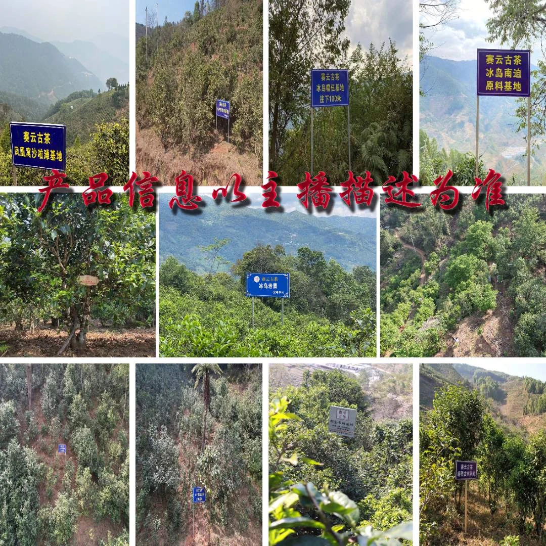 【赛云古茶】通用链接（赛云熟100克饼）